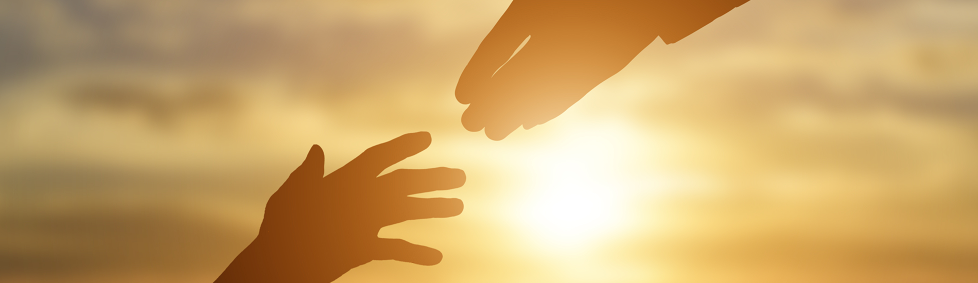 Contact Banner Copy